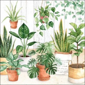 A pack of 12 by 12 inch German Decoupage Napkins (5 pcs) - Urban Jungle