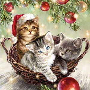 German Decoupage Napkins (5 pcs) - Cats in a Basket