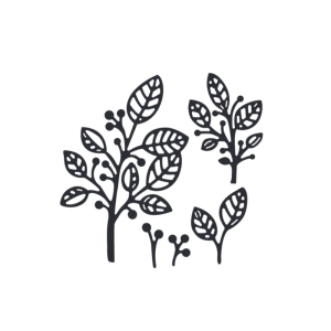 Steel Cutting Dies - Skeleton Leaves (Set of 5 dies)
