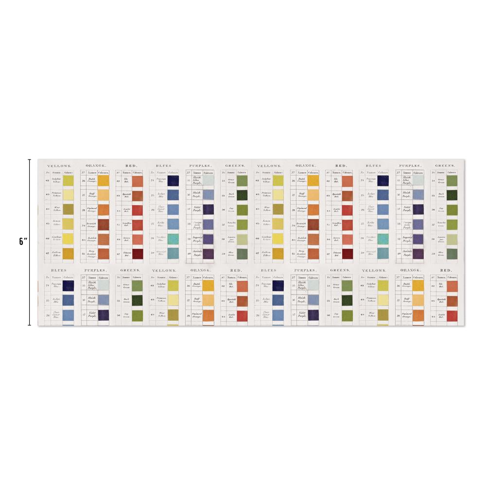 TimHoltz IdeaOlogy Collage Paper 6yds - Palette